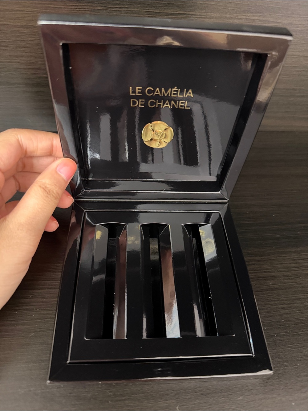 CHANEL lipstick case